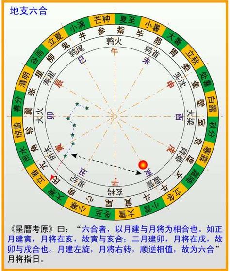 五行六合|五行派八字基礎入門（五）天干五合與地支六合｜方格子 vocu